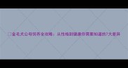 金毛犬公母饲养全攻略从性格到健康你需要知道的7大差异