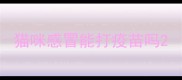 猫咪感冒能打疫苗吗