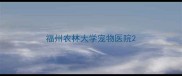 福州农林大学宠物医院