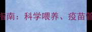 母犬疫苗接种后生育的幼犬养护全指南科学喂养疫苗管理及疾病预防附120天成长表
