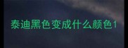 泰迪黑色变成什么颜色
