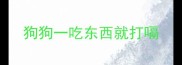 狗狗一吃东西就打嗝