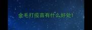 金毛打疫苗有什么好处