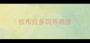 拉布拉多饲养难度