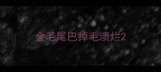 金毛尾巴掉毛溃烂