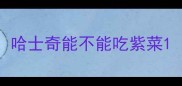 哈士奇能不能吃紫菜