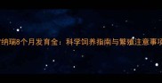 雪纳瑞8个月发育全科学饲养指南与繁殖注意事项