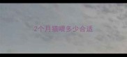 2个月猫喂多少合适
