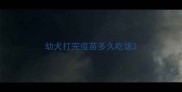 幼犬打完疫苗多久吃饭