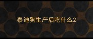 泰迪狗生产后吃什么