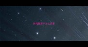 狗狗醒鼻子怎么回事