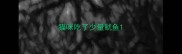 猫咪吃了少量鱿鱼
