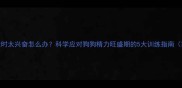 幼犬4-6月大时太兴奋怎么办科学应对狗狗精力旺盛期的5大训练指南家长必读
