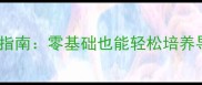 哈士奇一个月速成训练指南零基础也能轻松培养导盲牧羊护卫三重技能