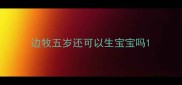 边牧五岁还可以生宝宝吗