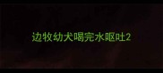 边牧幼犬喝完水呕吐