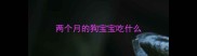 两个月的狗宝宝吃什么