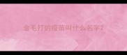 金毛打的疫苗叫什么名字