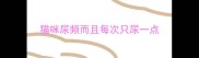 猫咪尿频而且每次只尿一点