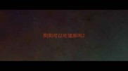狗狗可以吃猪肺吗