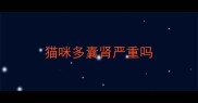 猫咪多囊肾严重吗