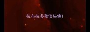 拉布拉多微信头像