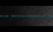 疫苗后护理全攻略狗狗打完疫苗后发烧皮肤疼怎么办附超全护理指南