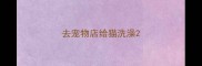 去宠物店给猫洗澡