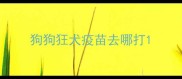 狗狗狂犬疫苗去哪打