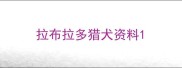 拉布拉多猎犬资料