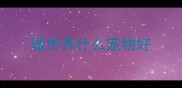 城市养什么宠物好
