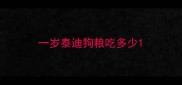 一岁泰迪狗粮吃多少