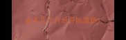 金毛几个月后开始温顺