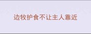 边牧护食不让主人靠近