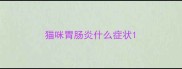 猫咪胃肠炎什么症状