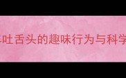 哈士奇坐车吐舌头的趣味行为与科学应对指南