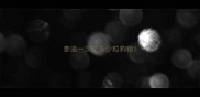 泰迪一次吃多少粒狗粮