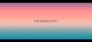 灰泰迪嘴是白的吗