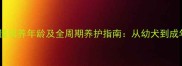 边境牧羊犬最佳饲养年龄及全周期养护指南从幼犬到成年的科学照护