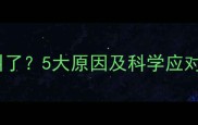 拉布拉多突然安静不叫了5大原因及科学应对指南附训练方案