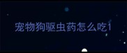 宠物狗驱虫药怎么吃