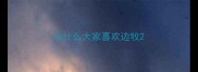 为什么大家喜欢边牧