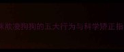 猫咪欺凌狗狗的五大行为与科学矫正指南