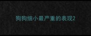 狗狗细小最严重的表现