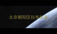 北京朝阳区拉布拉多