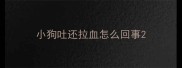 小狗吐还拉血怎么回事