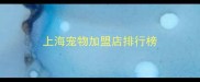 上海宠物加盟店排行榜