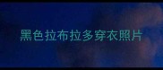 黑色拉布拉多穿衣照片