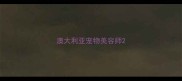 澳大利亚宠物美容师