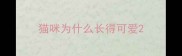 猫咪为什么长得可爱